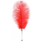 Красное страусовое пёрышко - ToyFa - купить с доставкой в Челябинске