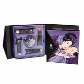Подарочный набор Geishas secret из 5 предметов - Shunga - купить с доставкой в Челябинске