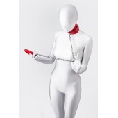 Красный ошейник с подкладкой из меха - ToyFa - купить с доставкой в Челябинске