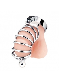 Серебристая клетка для члена Urethral Play Cage - BlueLine - купить с доставкой в Челябинске