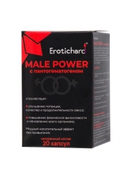 Капсулы для мужчин Erotichard male power с пантогематогеном - 20 капсул (0,370 гр.) - Erotic Hard - купить с доставкой в Челябинске