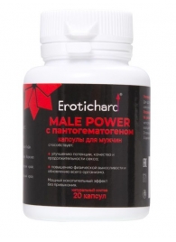 Капсулы для мужчин Erotichard male power с пантогематогеном - 20 капсул (0,370 гр.) - Erotic Hard - купить с доставкой в Челябинске