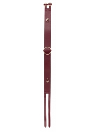 Бордовый ремень Halo Waist Belt - размер L-XL - Shots Media BV - купить с доставкой в Челябинске
