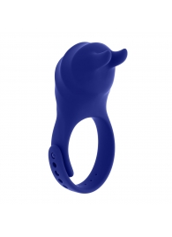 Синее эрекционное виброкольцо с клиторальной подушечкой и пультом ДУ Adjustable Fun Ring - Zero Tolerance - в Челябинске купить с доставкой