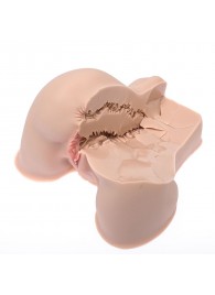 Мастурбатор-полуторс Naked Factory Kate - Naked Factory - в Челябинске купить с доставкой