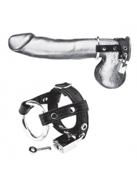 Утяжка на пенис на замочке Duo Cock And Ball Lock - BlueLine - купить с доставкой в Челябинске