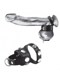 Утяжка для мошонки и пениса Cock Ring With 1  Ball Stretcher And Optional Weight Ring - BlueLine - купить с доставкой в Челябинске