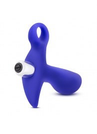 Синий стимулятор простаты с ручкой-кольцом Performance Prostimulator 02 - Blush Novelties - в Челябинске купить с доставкой