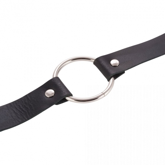 Черный поводок и чокер с кольцом Rada - Rebelts - купить с доставкой в Челябинске