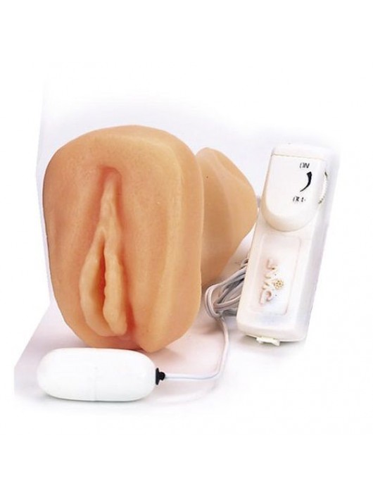 Мастурбатор-вагина с вибрацией ELLY POCKET PAL VAGINA MULTISPEED - NMC - в Челябинске купить с доставкой