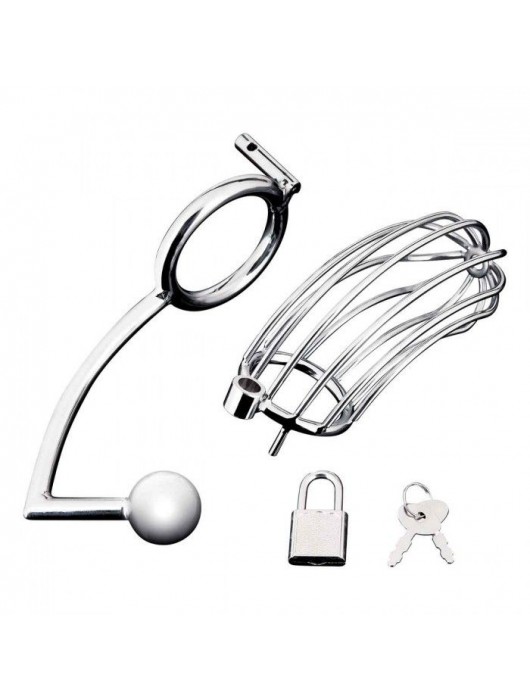 Серебристая металлическая клетка с анальным стимулятором Cock Cage - BlueLine - купить с доставкой в Челябинске