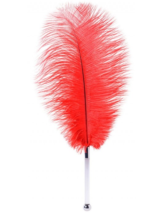 Красное страусовое пёрышко - ToyFa - купить с доставкой в Челябинске