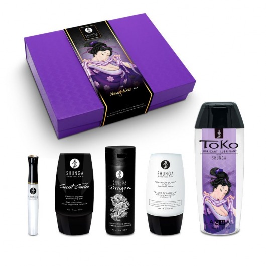 Подарочный набор Naughter Kit - Shunga - купить с доставкой в Челябинске
