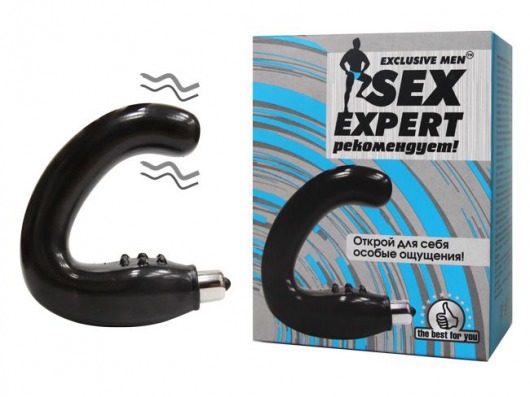 Чёрный массажёр простаты серии Sex Expert - Sex Expert - в Челябинске купить с доставкой