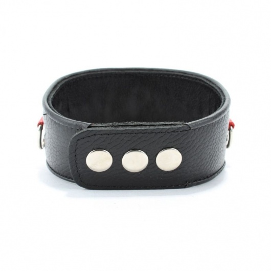 Кожаный ошейник с металлическими клепками - БДСМ Арсенал - купить с доставкой в Челябинске