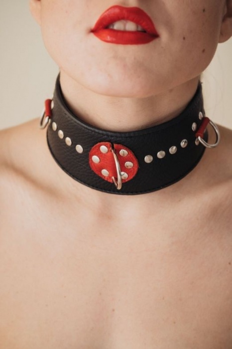 Кожаный ошейник с металлическими клепками - БДСМ Арсенал - купить с доставкой в Челябинске