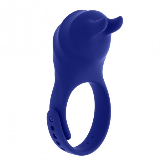 Синее эрекционное виброкольцо с клиторальной подушечкой и пультом ДУ Adjustable Fun Ring - Zero Tolerance - в Челябинске купить с доставкой