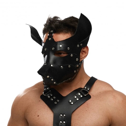 Черная кожаная маска «Собака» - Crazy Handmade - купить с доставкой в Челябинске