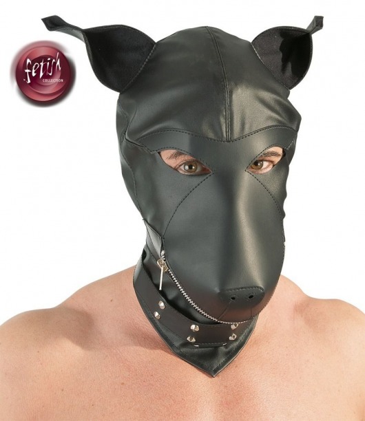 Шлем-маска Dog Mask в виде морды собаки - Orion - купить с доставкой в Челябинске