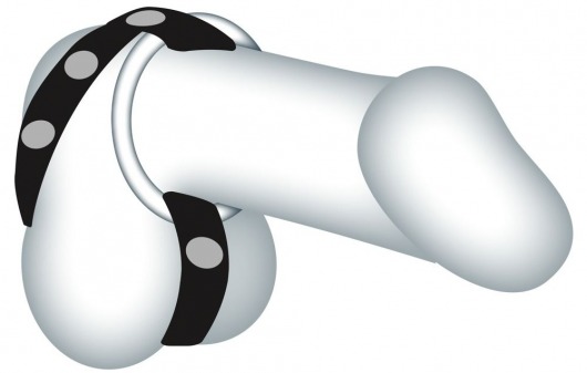 Подхват для мошонки с 3 съемными эрекционными кольцами Leder-Riemen - Orion - в Челябинске купить с доставкой