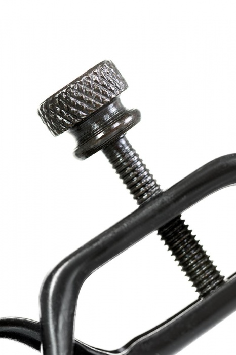 Черно-золотистые зажимы для сосков TOYFA Theatre - ToyFa - купить с доставкой в Челябинске